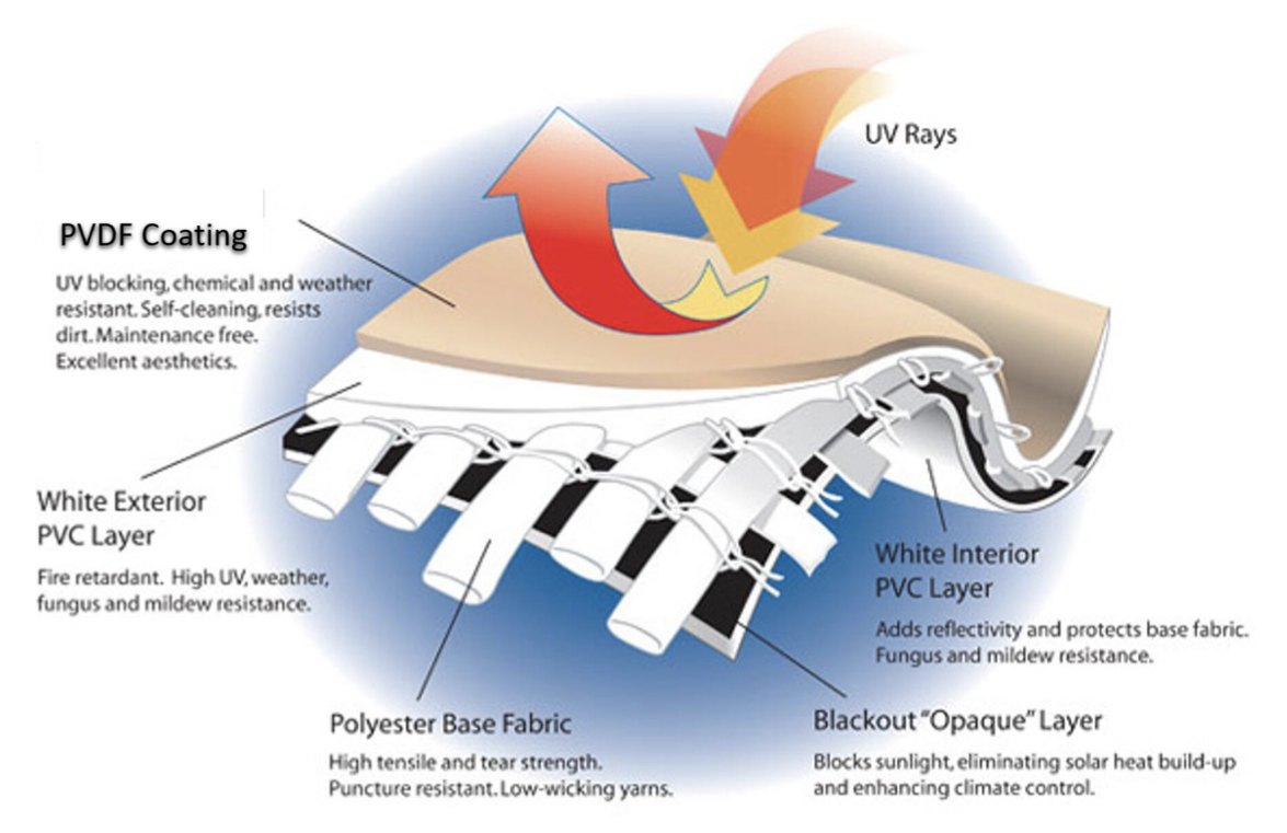 Cross-section of the membrane layers